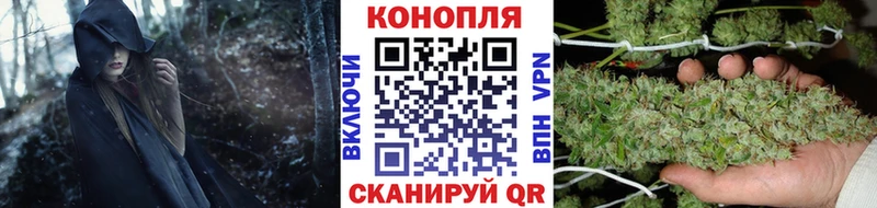 Купить  Нарьян-Мар  Конопля SATIVA & INDICA 